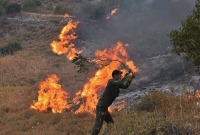 "مؤشر الخطر مرتفع".. الدفاع المدني يحذر من الحرائق شمال غربي سوريا